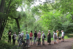 2024_GehenUndHoeren_FotoDanielStojek